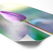 Lotus Foto Afdruk (Hoek)