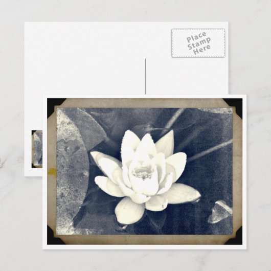 LOTUS  FOTOGRAPH BRIEFKAART (Voorkant / Achterkant)