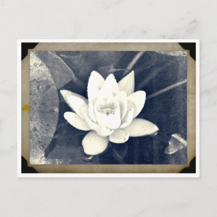 LOTUS  FOTOGRAPH BRIEFKAART
