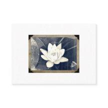 LOTUS FOTOGRAPH VISITEKAARTJE