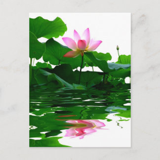 Lotus green water zen tranquility peace Mooi Briefkaart