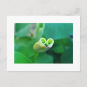 Lotus Heart ポストカード Briefkaart (Voorkant)