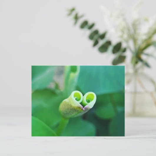 Lotus Heart ポストカード Briefkaart (Staand voorkant)