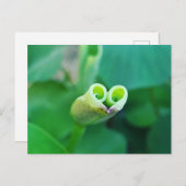 Lotus Heart ポストカード Briefkaart (Voorkant / Achterkant)