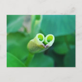 Lotus Heart ポストカード Briefkaart (Voorkant)
