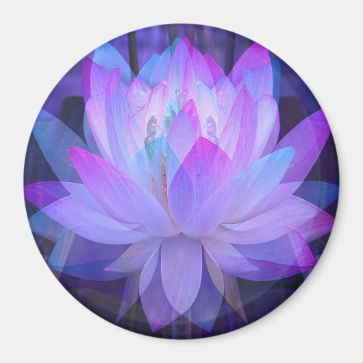 Lotus in Blue... Magneet (Voorkant)