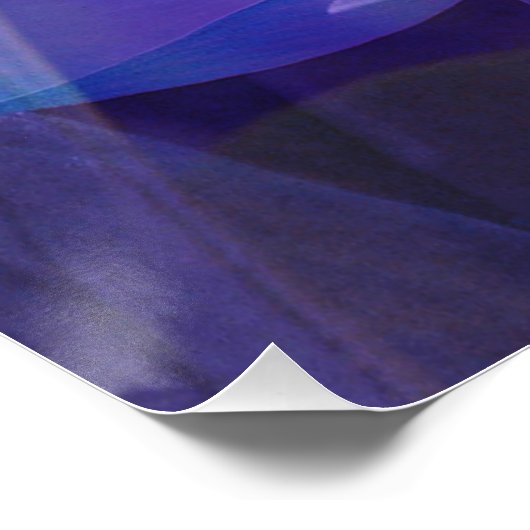 Lotus in Blue... Perfect Poster (Hoek)