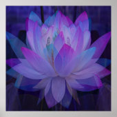 Lotus in Blue... Poster (Voorkant)