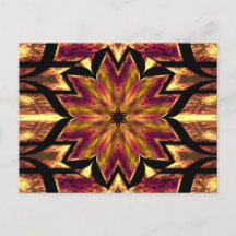 LOTUS IN DE WERELD 12