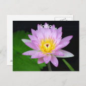 Lotus in India Briefkaart (Voorkant / Achterkant)