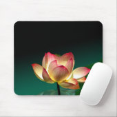 Lotus in volle bloei, muismat (Met muis)