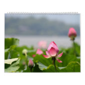 Lotus Kalender (Hoes)
