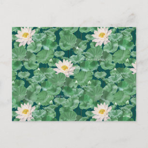 Lotus Lagoon patroon - De witte Lotus Briefkaart