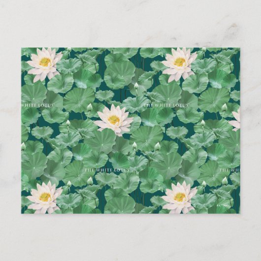 Lotus Lagoon patroon - De witte Lotus Briefkaart (Voorkant)
