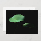 Lotus Leaves Aankondigingskaart (Voorkant / Achterkant)