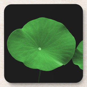 Lotus Leaves Bier Onderzetter