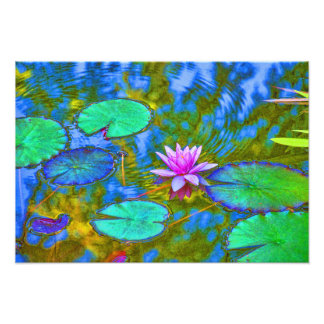 Lotus Lily Pad Water Lily in een Italiaanse tuin Foto Afdruk
