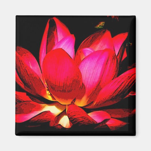 Lotus Magneet (Voorkant)