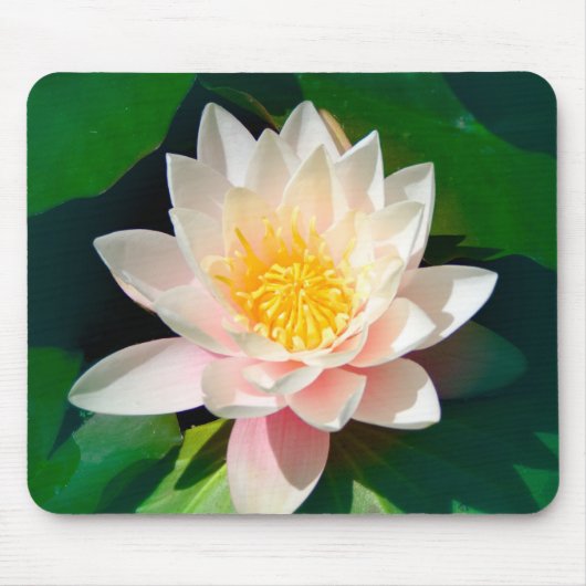 Lotus Mousepad Muismat (Voorkant)