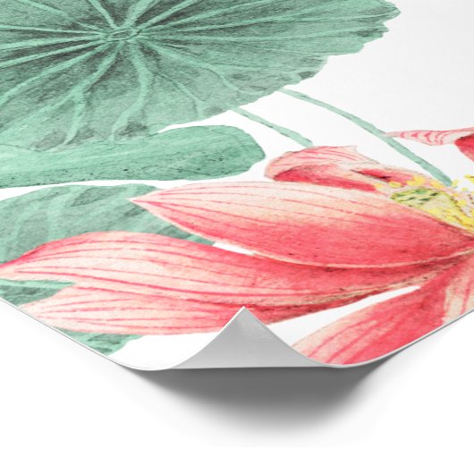 Lotus naadloze patroon botanische achtergrond poster (Hoek)