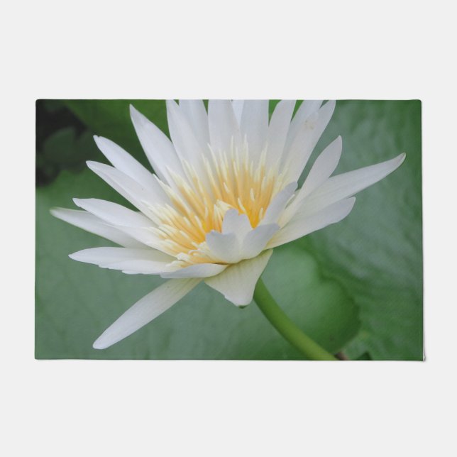 Lotus, Namaste, meditatie, zen, winkels, plant, na Deurmat (Voorkant)