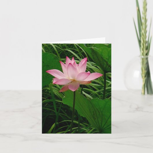 Lotus Notecard Bedankkaart (Voorkant)