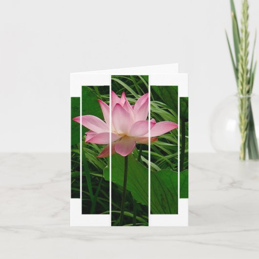 Lotus Notecard Bedankkaart (Voorkant)