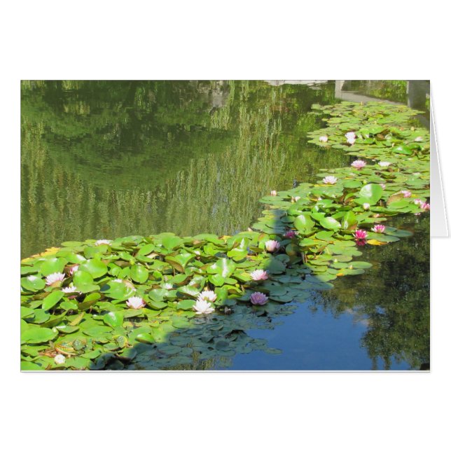 Lotus Path (Voorkant Horizontaal)