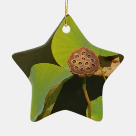 Lotus Pod en Lilly Pad Keramisch Ornament (Voorkant)