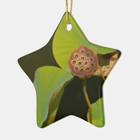Lotus Pod en Lilly Pad Keramisch Ornament (Links)