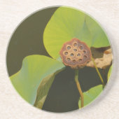 Lotus Pod en Lilly Pad Zandsteen Onderzetter (Voorkant)
