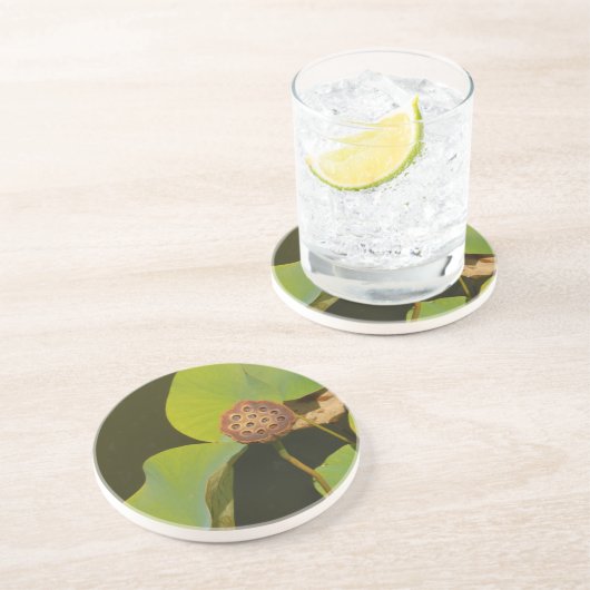 Lotus Pod en Lilly Pad Zandsteen Onderzetter (Zijkant)
