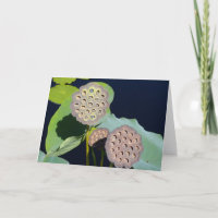 Lotus Pods Kaart