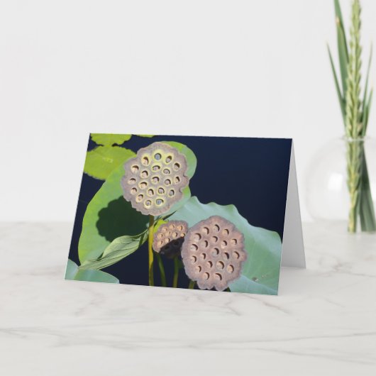 Lotus Pods Kaart (Voorkant)