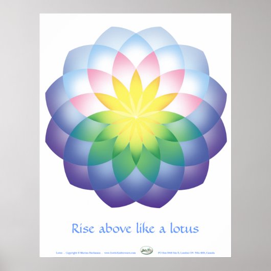 Lotus Poster (Voorkant)