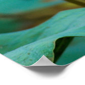 ..lotus poster (Hoek)