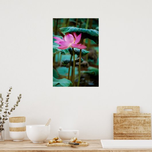 ..lotus poster (Keuken)