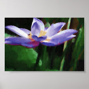 lotus poster