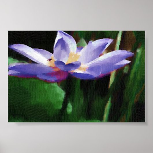 lotus poster (Voorkant)