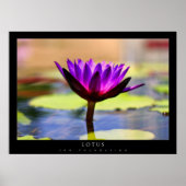 Lotus Poster (Voorkant)