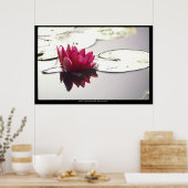 lotus poster (Keuken)