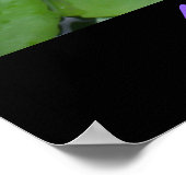 Lotus Poster met citaten van Sai Baba (Hoek)