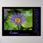 Lotus Poster met citaten van Sai Baba (Voorkant)