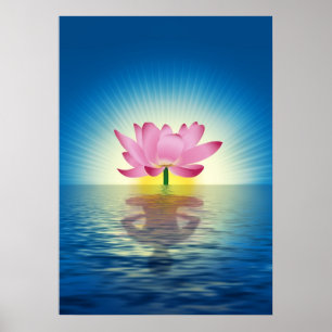 Lotus Reflection Poster