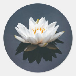 LOTUS RONDE STICKER
