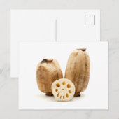 Lotus roots briefkaart (Voorkant / Achterkant)