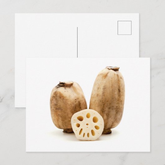 Lotus roots briefkaart (Voorkant / Achterkant)