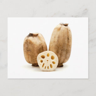 Lotus roots briefkaart