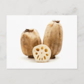 Lotus roots briefkaart (Voorkant)