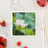 Lotus Servet (Insitu)